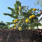 Prázdninový dům Kleine Auszeit - Abc1 *